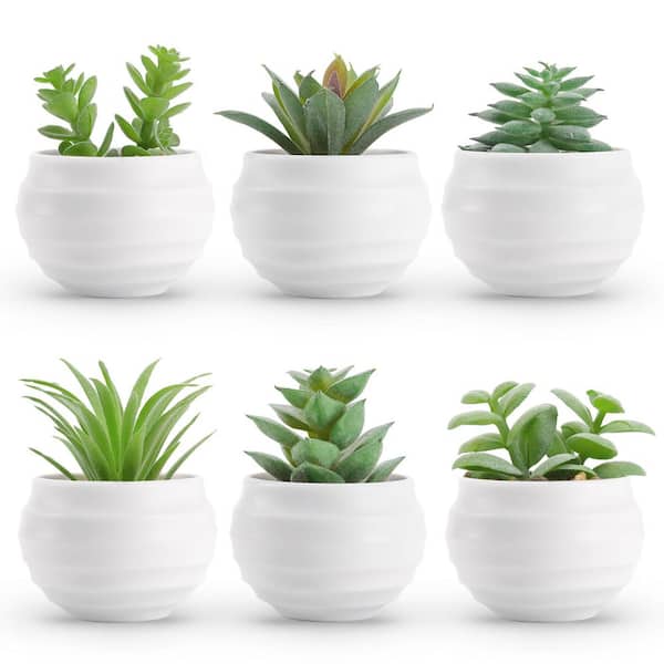 Succulents Plants Artificial in Pots Small Fake Plants for Garden Aesthetic Living Room Office Décor (Set of 6)