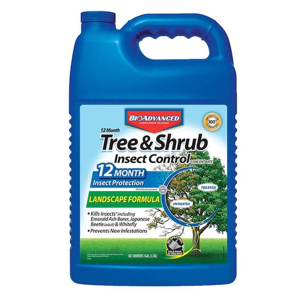 BIOADVANCED 1 Gal. Concentrated Tree and Shrub Insect Control Landscape Formula