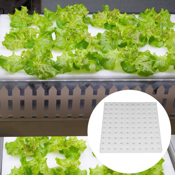 100-Pack Soilless Hydroponic Sponges – Plant Growing Medium For Greenhouse & Garden