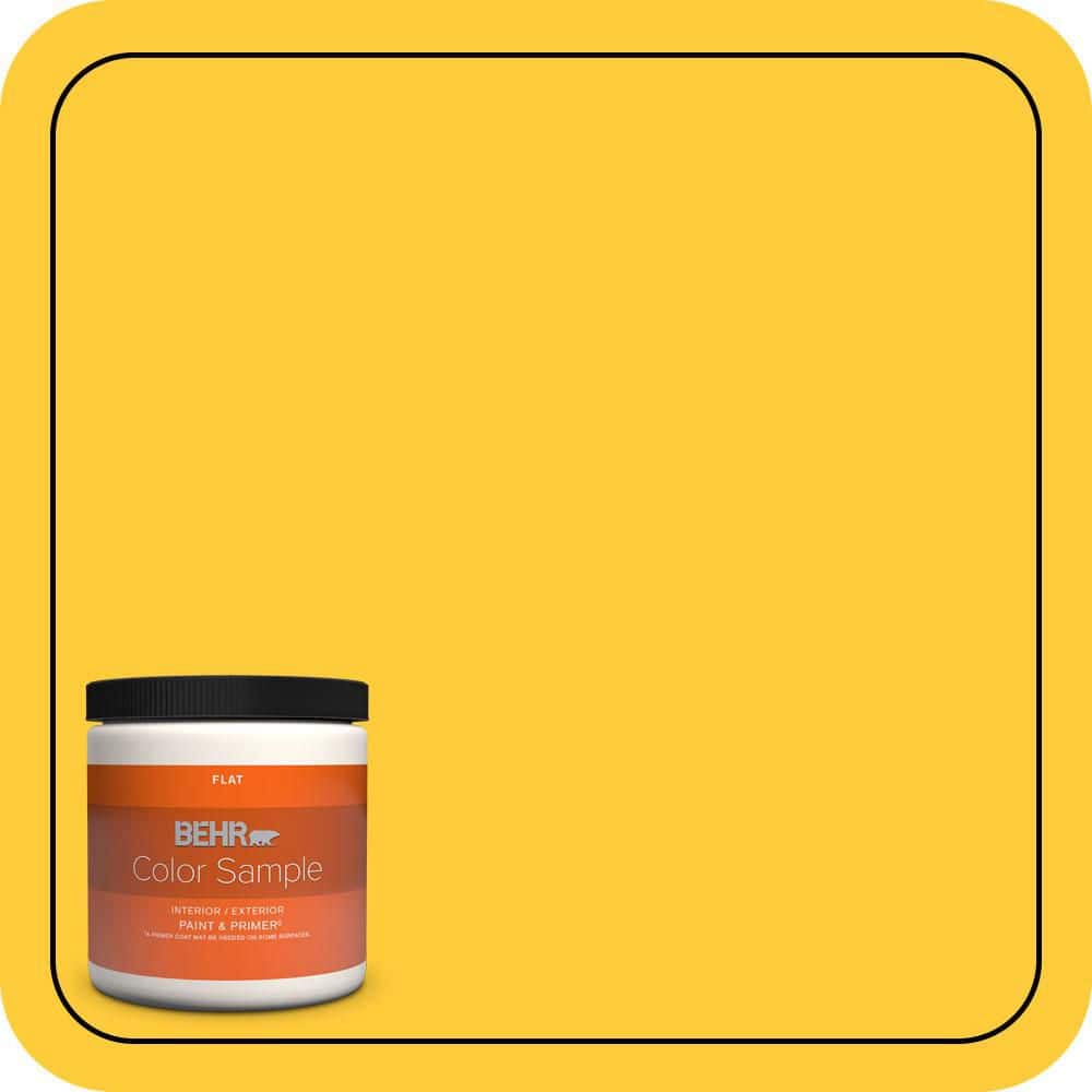 8 oz. #S-G-360 Bright Star Flat Interior/Exterior Paint & Primer Color Sample price history on PriceWatchPro