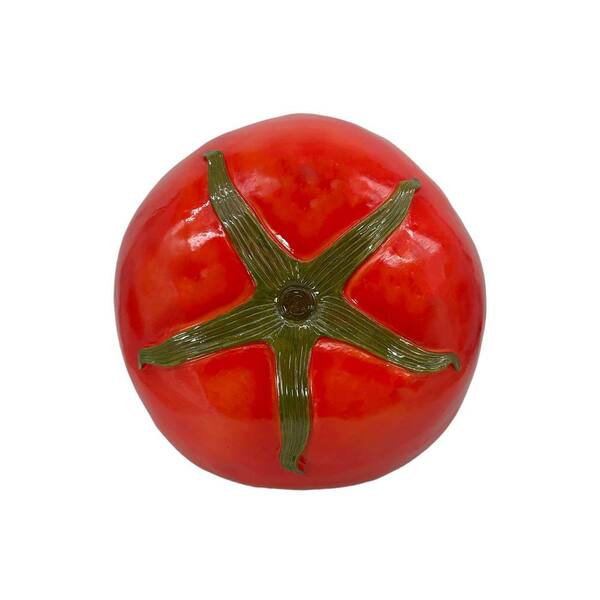 TOMATO　おまとめ商品 Amazon | ダイショー カプレーゼ風トマトサラダ用セット 53.5g×10個