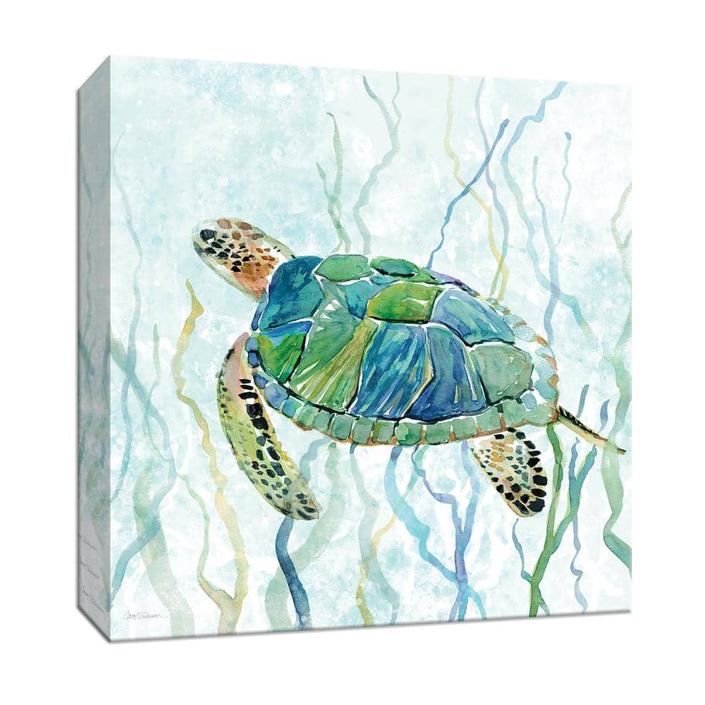 PTM Images 15 in. x 15 in. ''Sea Turtle Swim II'' Canvas Wall Art 9 ...