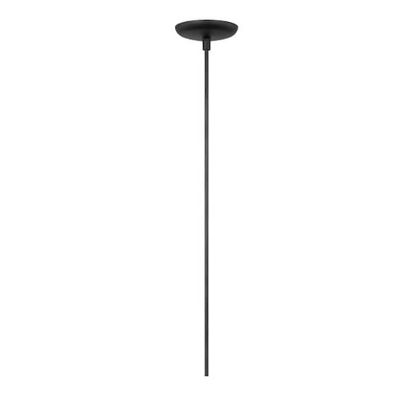 Generation Lighting - Studio Leo Hanging Globe 14 in. 1-Light Midnight Black Pendant Light with Clear Seeded Glass Shade
