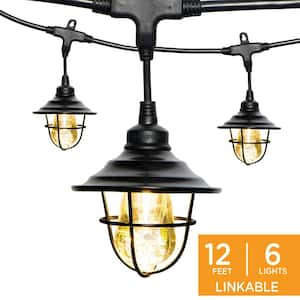 6-Bulbs 12 ft. Indoor/Outdoor Plug-In Integrated LED String Light, Oil-Rubbed Bronze Shades, Acrylic Edison Bulbs