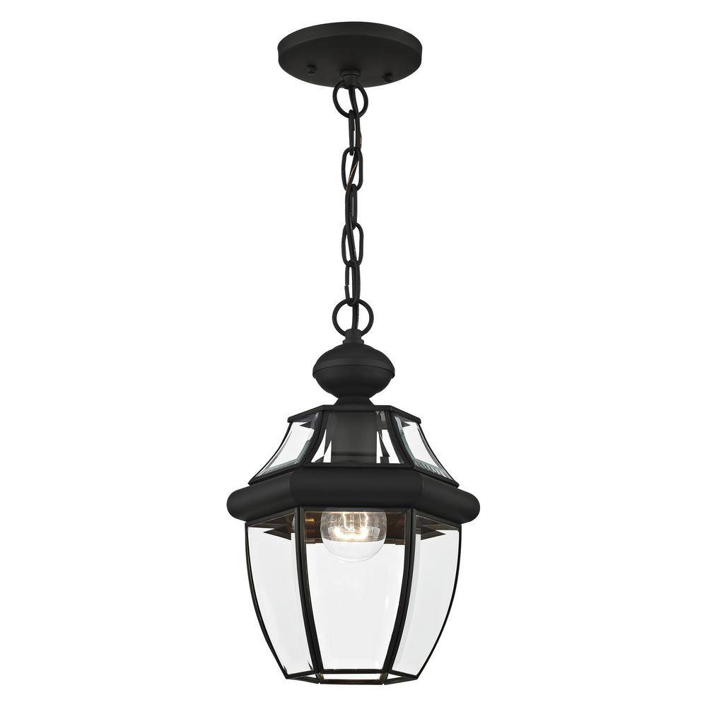 Black Glass 1-Light Indoor/Outdoor Pendant Lantern