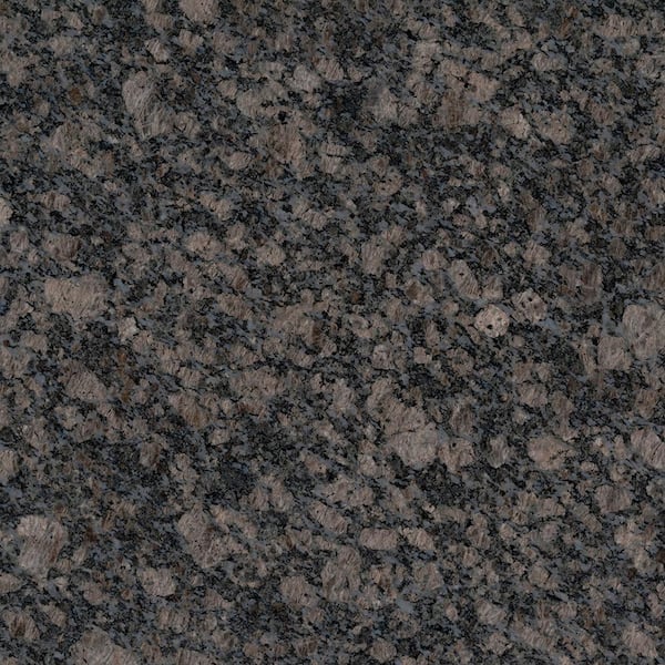 STONEMARK 3 in. x 3 in. Granite Countertop Sample in Sterling DT