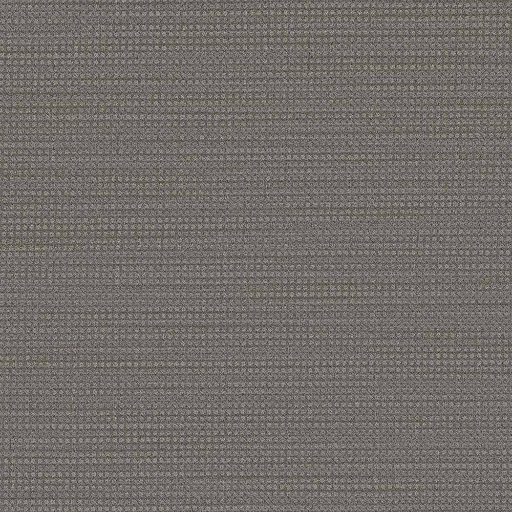 8 in. x  8 in. Loop Carpet Sample - Thornbrook -Color Delano price history on PriceWatchPro