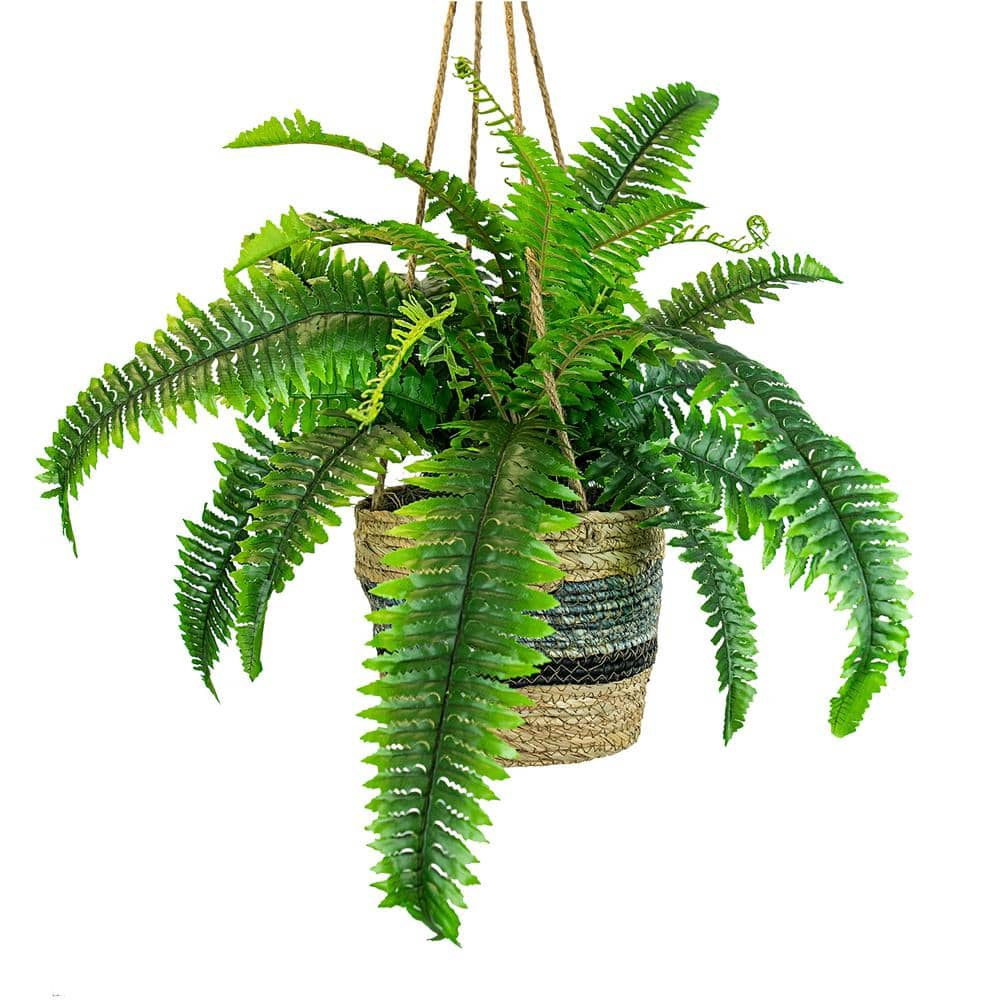 Dremisland Artificial Ferns for Outdoors, Set of 2 Bouquets 30 Diam Large  Fake Ferns Potted or Hanging Artificial Boston Fern | Fake Plant Shrubs for