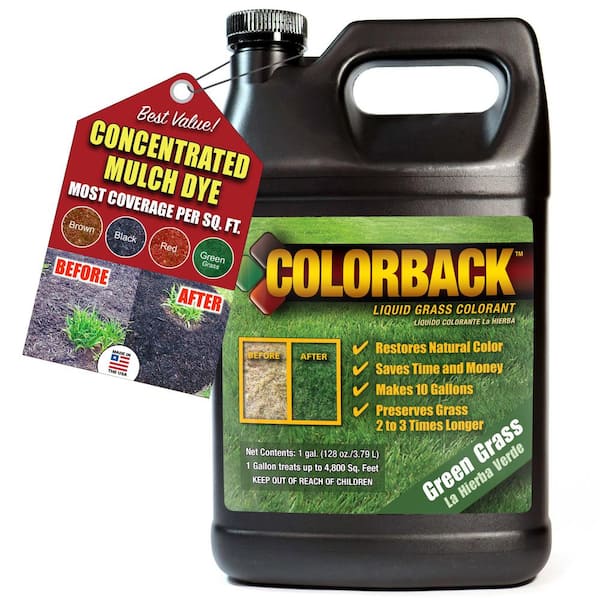 COLORBACK 1 Gal. Green Grass Color Covering up to 4800 sq. ft.
