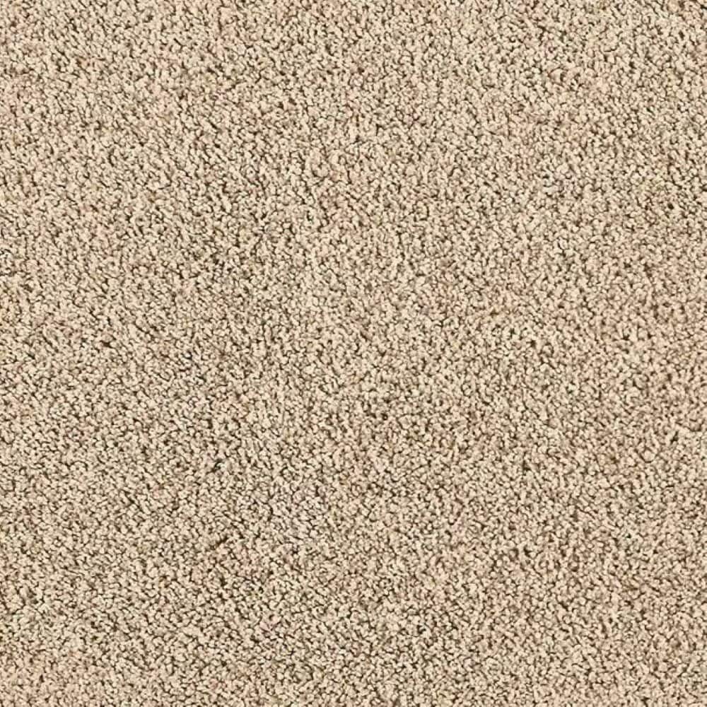 8 in. x 8 in. Texture Carpet Sample-Whisk & Whimsy II-Color New Wheat price history on PriceWatchPro