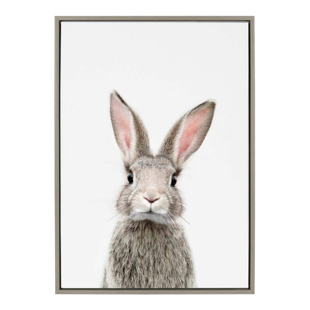 Gray Framed Canvas Print of Young Rabbit, 23" x 33"