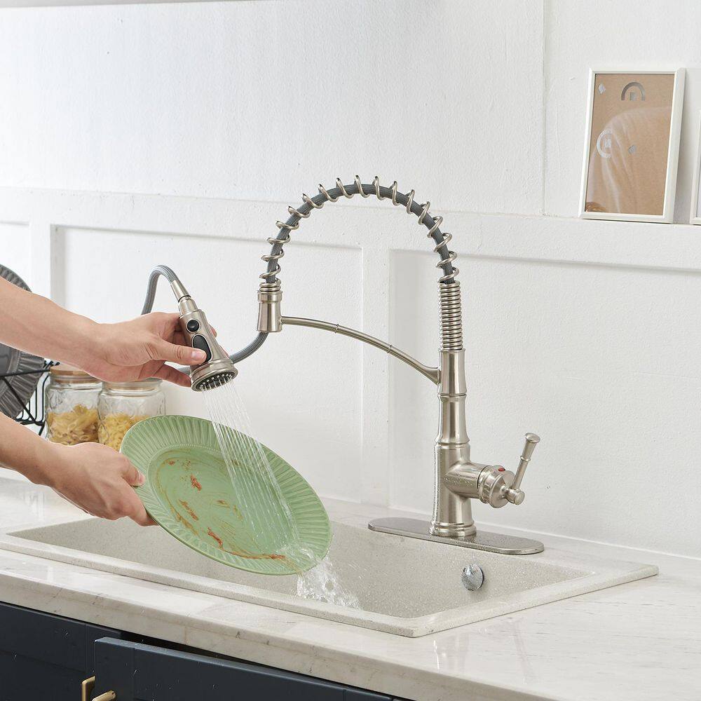 Brushed Nickel Single-Handle Pull-Down Kitchen Faucet with Deck Plate
