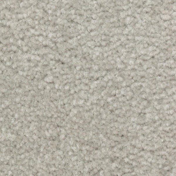 Lifeproof 8 in. x 8 in. Texture Carpet Sample - Mason I -Color Electric