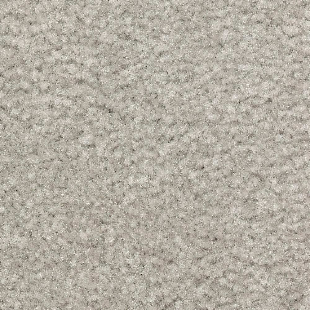 8 in. x 8 in. Texture Carpet Sample - Mason II -Color Electric price history on PriceWatchPro