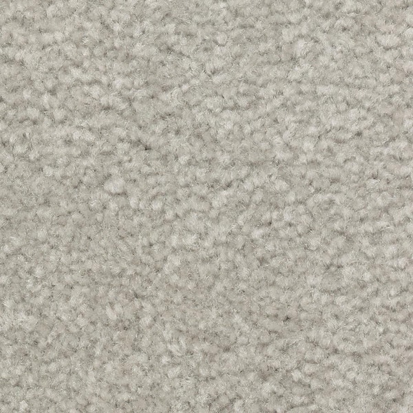 Lifeproof 8 in. x 8 in. Texture Carpet Sample - Mason II -Color Electric