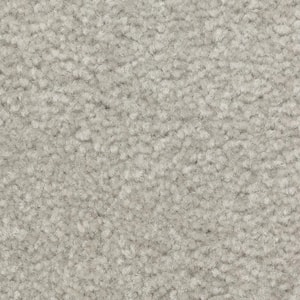 Mason I  - Electric - Green 35 oz. Triexta Texture Installed Carpet