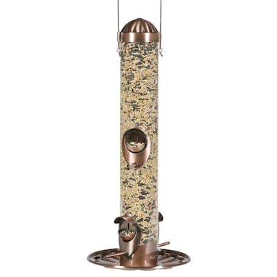 2-in-1 Copper Hanging Bird Feeder - 1 lb. Capacity