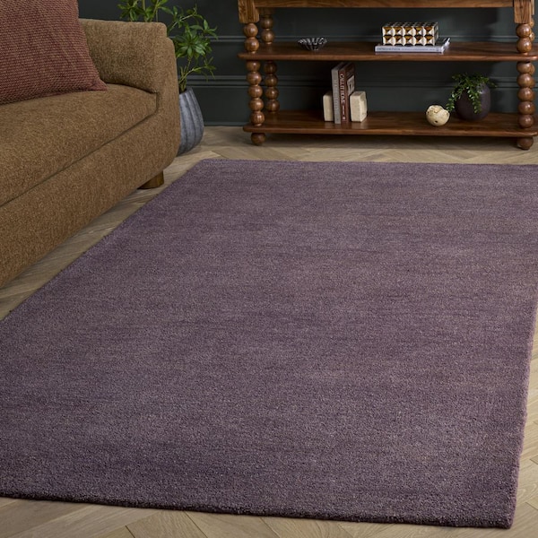Himalaya 5 ft. x 8 ft. Purple Solid Area Rug
