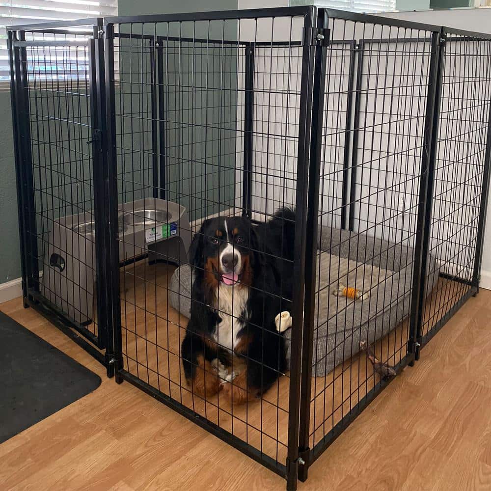 ALEKO Black Heavy Duty Metal Pet Kennel 5x5x4 ft