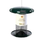 Safflower Feeder