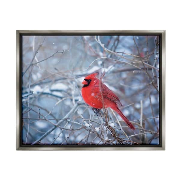 Stupell Industries Cardinal in Winter Branches by Karen Burke 1-Piece Floater Frame Graphic Print Animal Poster Art Print 21 in. x 17 in.