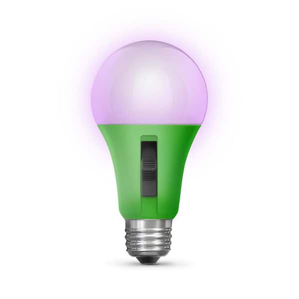 Fridge Light Bulb Stock Illustration - Download Image Now - Black