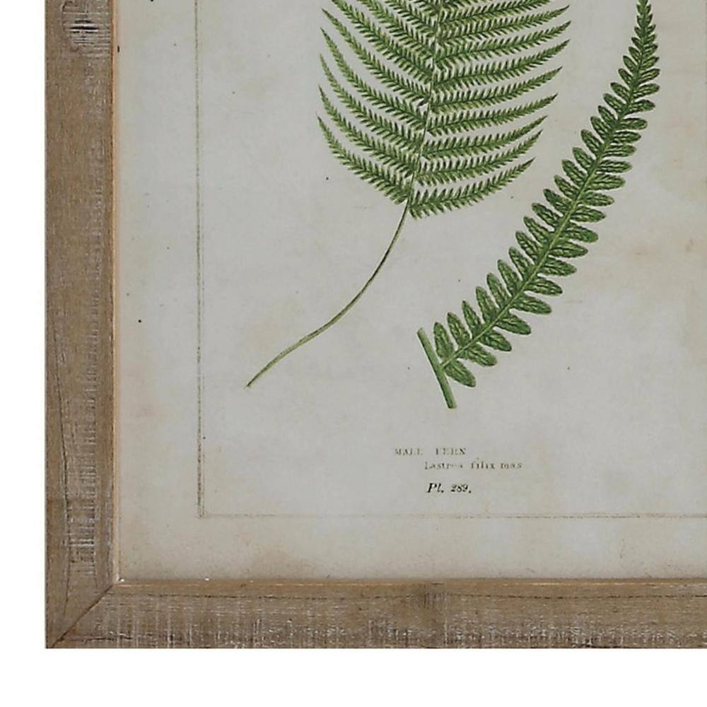 Natural Wood Framed Fern Print Wall Art Set of 6