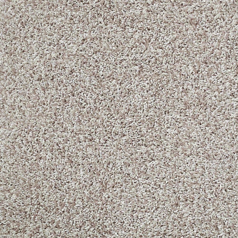 8 in. x 8 in. Twist Carpet Sample - Charming - Color Ponytail price history on PriceWatchPro