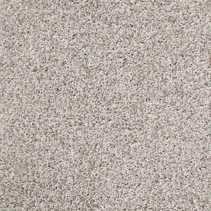 Charming - Ponytail - Beige 24 oz. Polyester Twist Installed Carpet