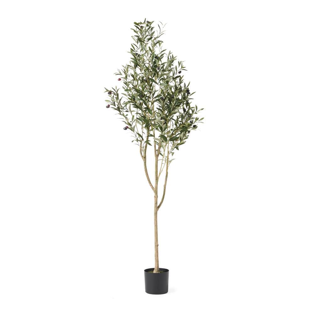 Elysian 71" Black Pre-Potted Faux Olive Tree in Plastic Pot