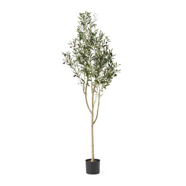 Noble House Tigue 6 ft. Green Artificial Olive Tree 84000 - The Home Depot