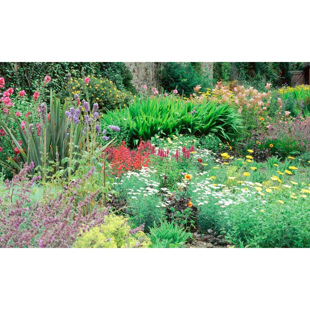 Flower View - Weather Proof Scene for Window Wells or Wall Mural - 100 in. x 60 in. price history on PriceWatchPro