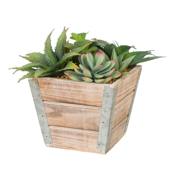 Glitzhome 7.5 in. H Succulent Plants in Wooden Box