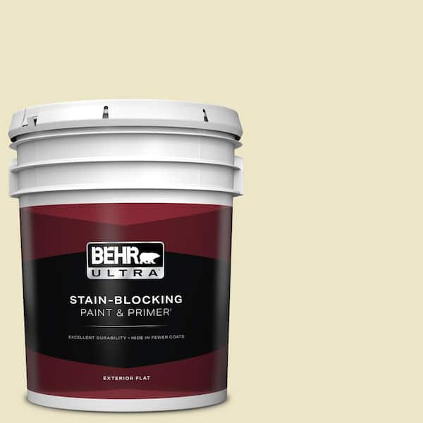 BEHR ULTRA 5 gal. #M310-2 Proper Temperature Flat Exterior Paint & Primer