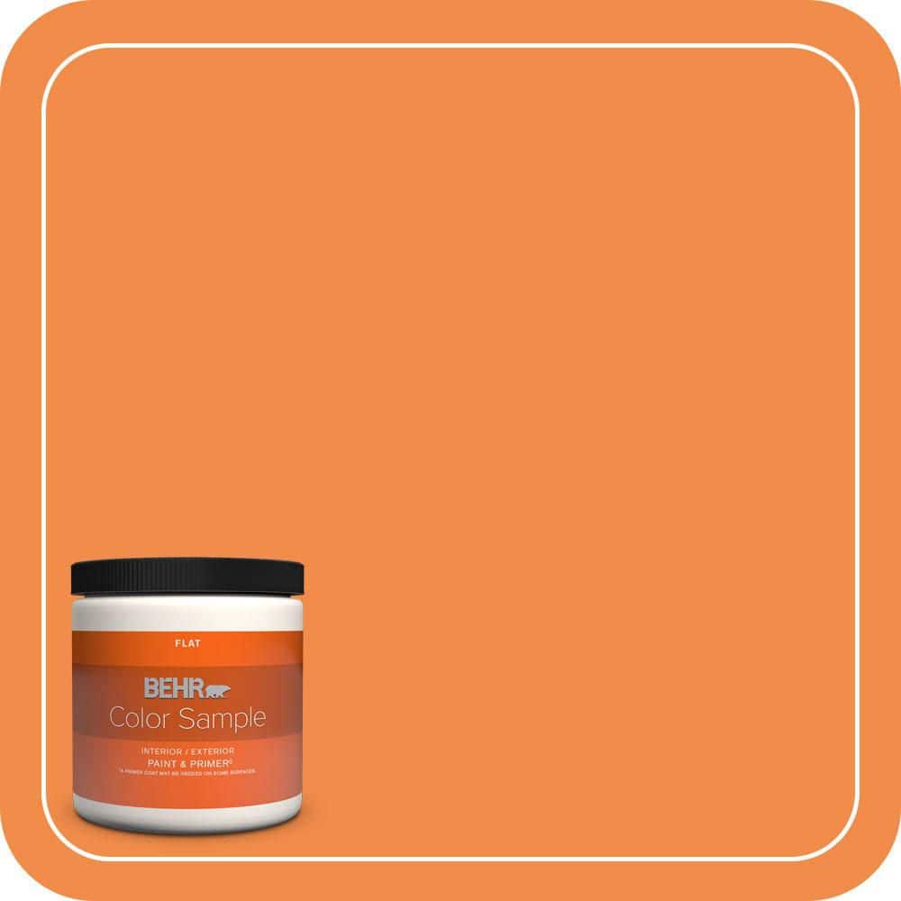 8 oz. #250B-6 Poppy Glow Flat Interior/Exterior Paint & Primer Color Sample price history on PriceWatchPro
