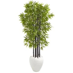 Indoor/Outdoor 5 ft. Bamboo Artificial Tree with Black Trunks in White Planter UV Resistant