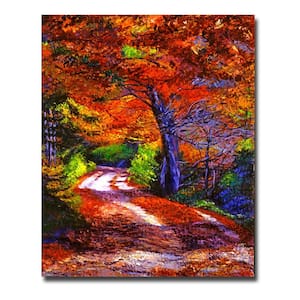 26 in. x 32 in. Sunlight Through the Trees Canvas Art