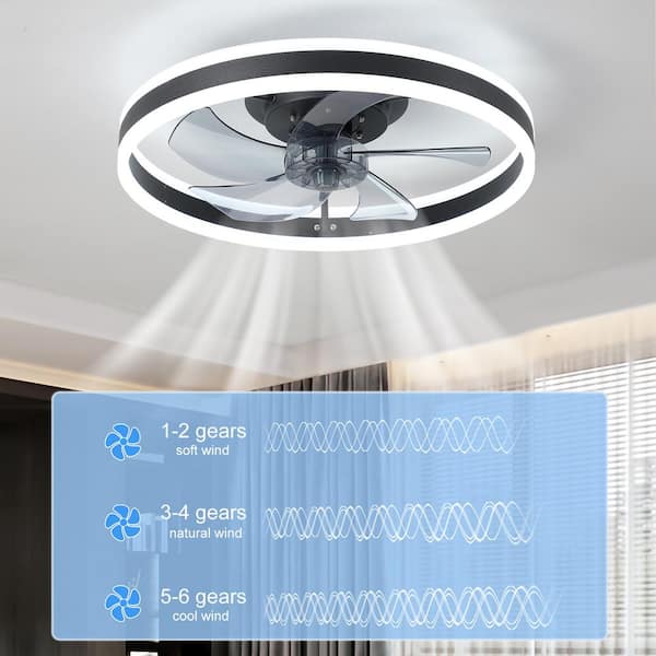 20 in. Indoor Black Smart Ceiling Fan with Light and Remote