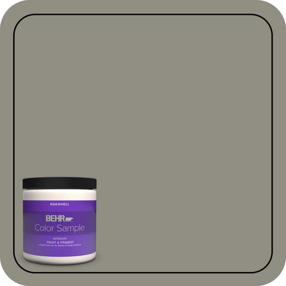 8 oz. #N370-5 Incognito Eggshell Enamel Interior Paint & Primer Color Sample price history on PriceWatchPro