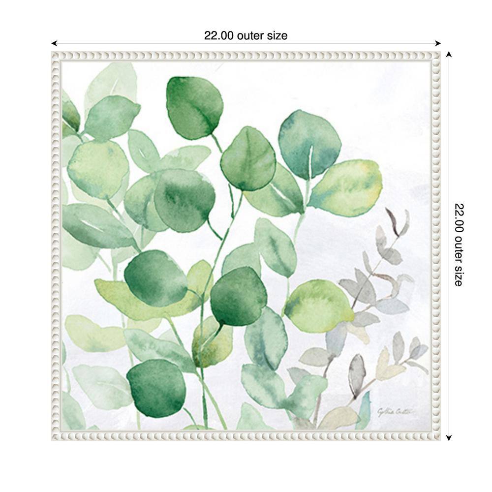 Eucalyptus Leaves II Green and White Canvas Wall Art with Floater Frame