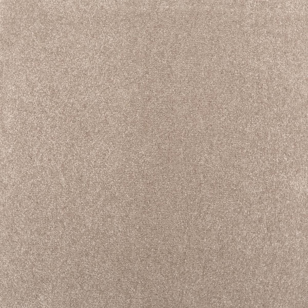 Lifeproof with Petproof Technology Waking Up I Veil Gray 37 oz. Triexta Textured Installed Carpet