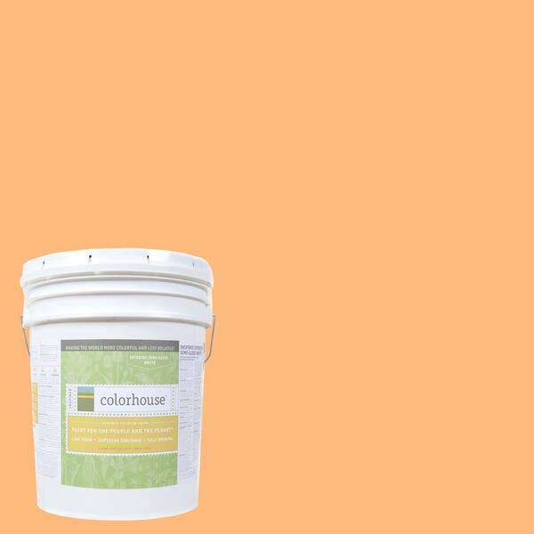 Colorhouse 5 gal. Sprout .02 Semi-Gloss Interior Paint