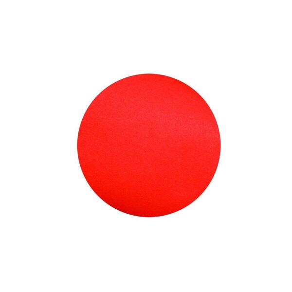 40 grit sanding discs