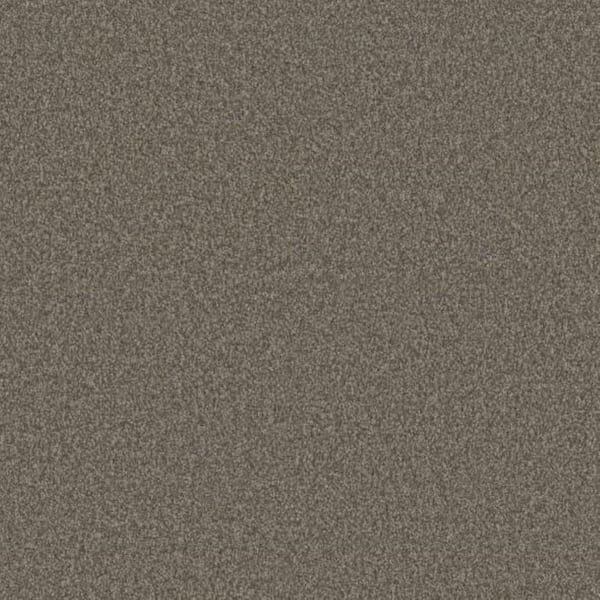 TrafficMaster Arcadia - Delight - Brown 12 ft. Wide x Cut to Length 38 oz. Polyester Texture Carpet