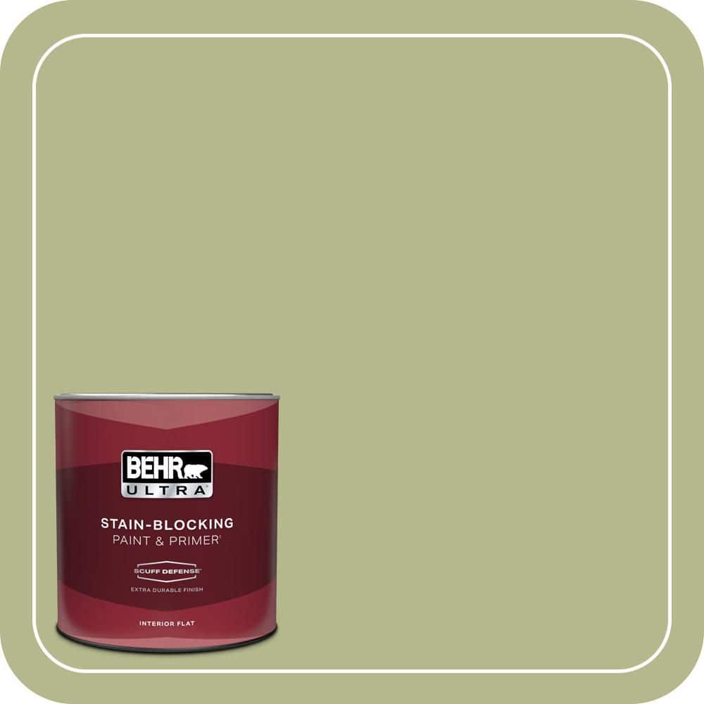 1 qt. Home Decorators Collection #HDC-SP14-1 Secret Glade Extra Durable Flat Interior Paint & Primer price history on PriceWatchPro