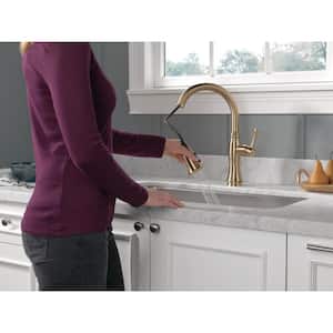 Cassidy Single-Handle Pull-Down Sprayer Kitchen Faucet in Lumicoat Champagne Bronze
