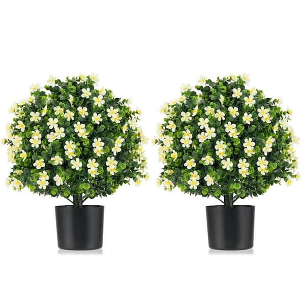 1.8 ft. Artificial Boxwood Topiary Ball Tree with White Flowers in Pot for In-Outdoor Decor (2-Pack)