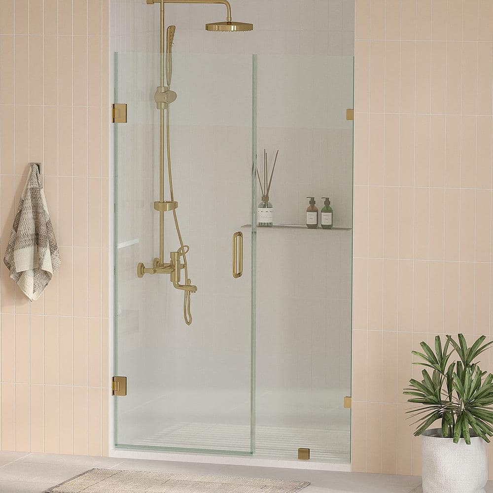 Nirvana 62.5 in. W x 76 in. H Frameless Pivot Hinged Shower Door in Brushed Gold with 3/8 in. Clear Glass price history on PriceWatchPro