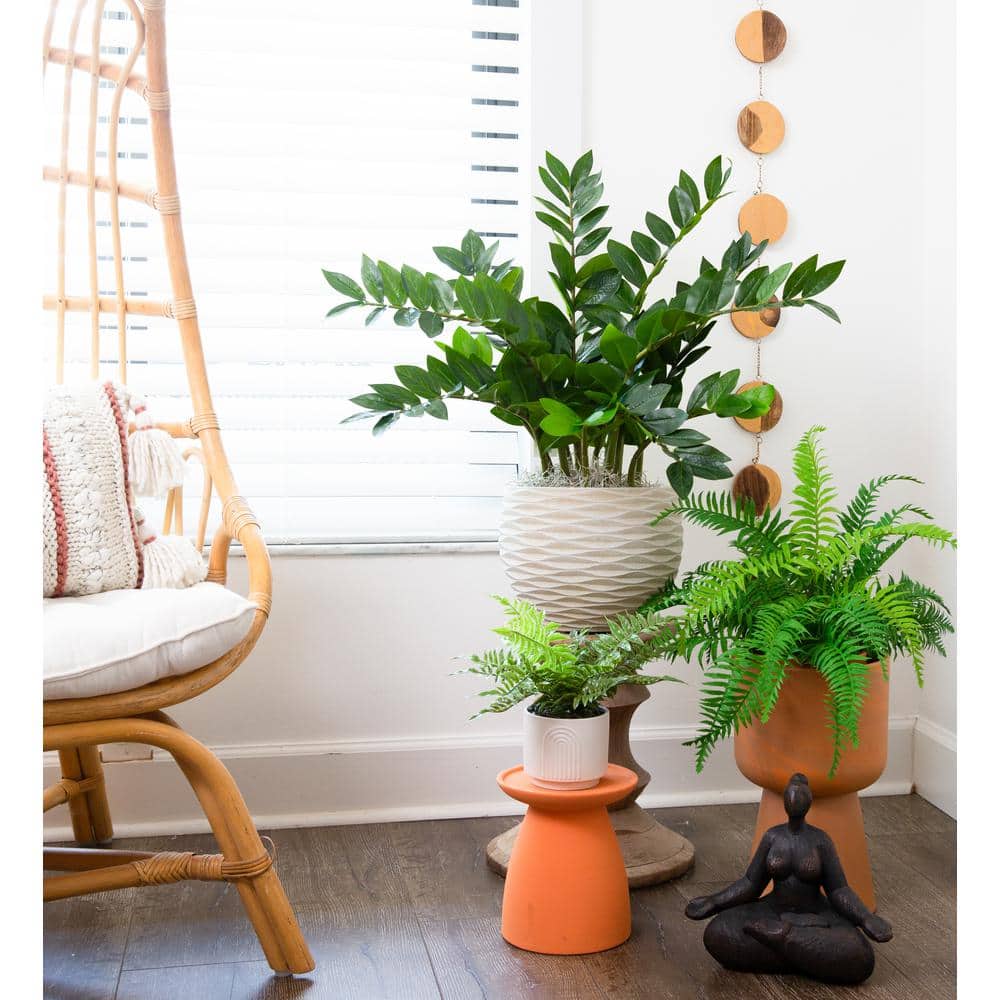 Lush Green Artificial Zamioculcas Plant in Black Pot