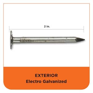 2 in. Electro-Galvanized Roofing Nails - 25 lbs./Pail